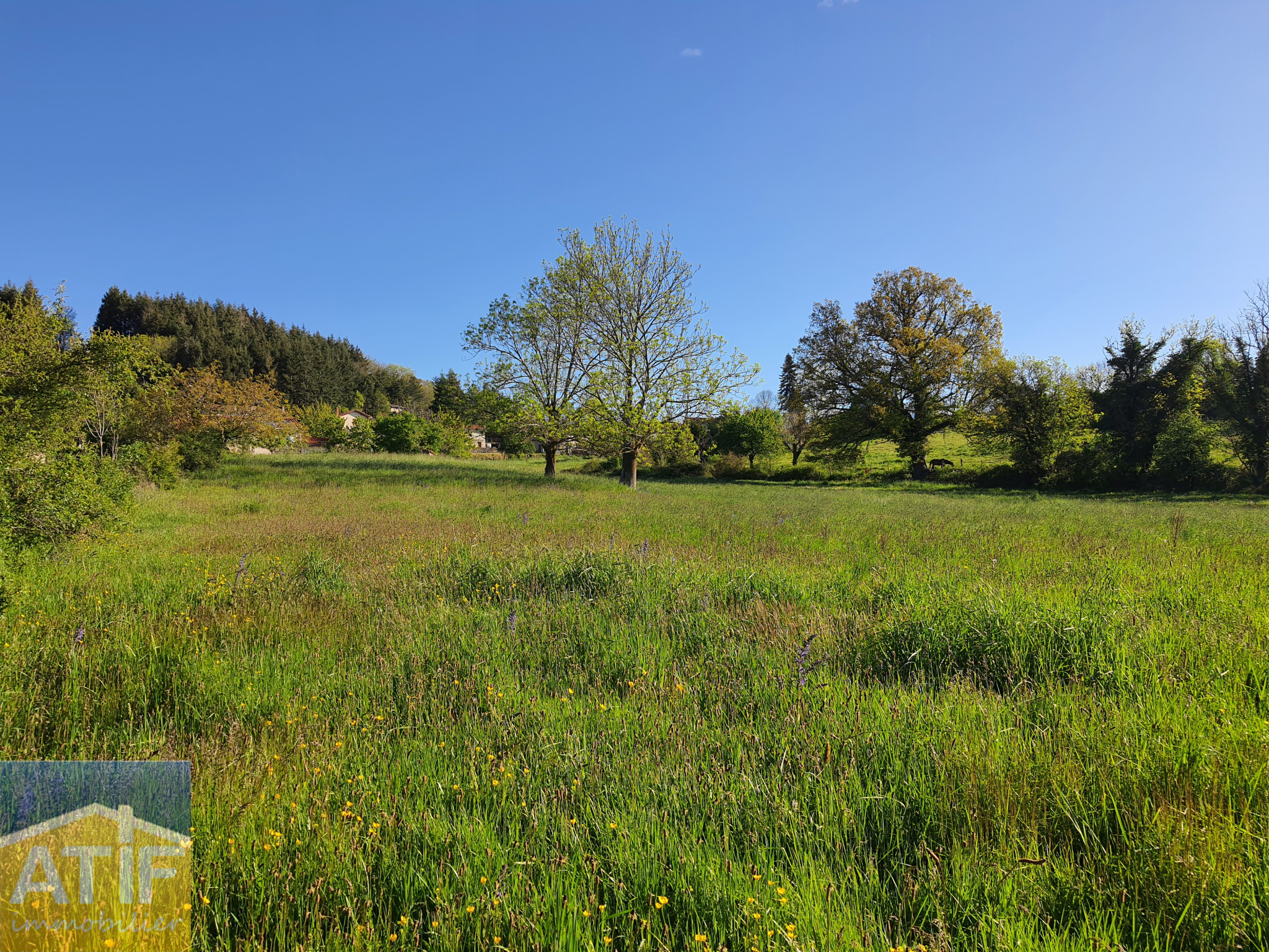 Agence immobilière de ATIF IMMOBILIER